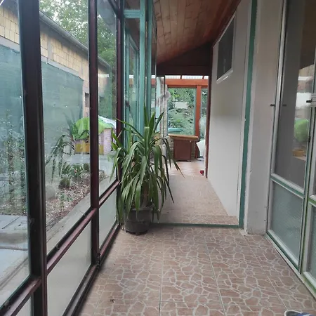 Liza Panzio Mali Idos